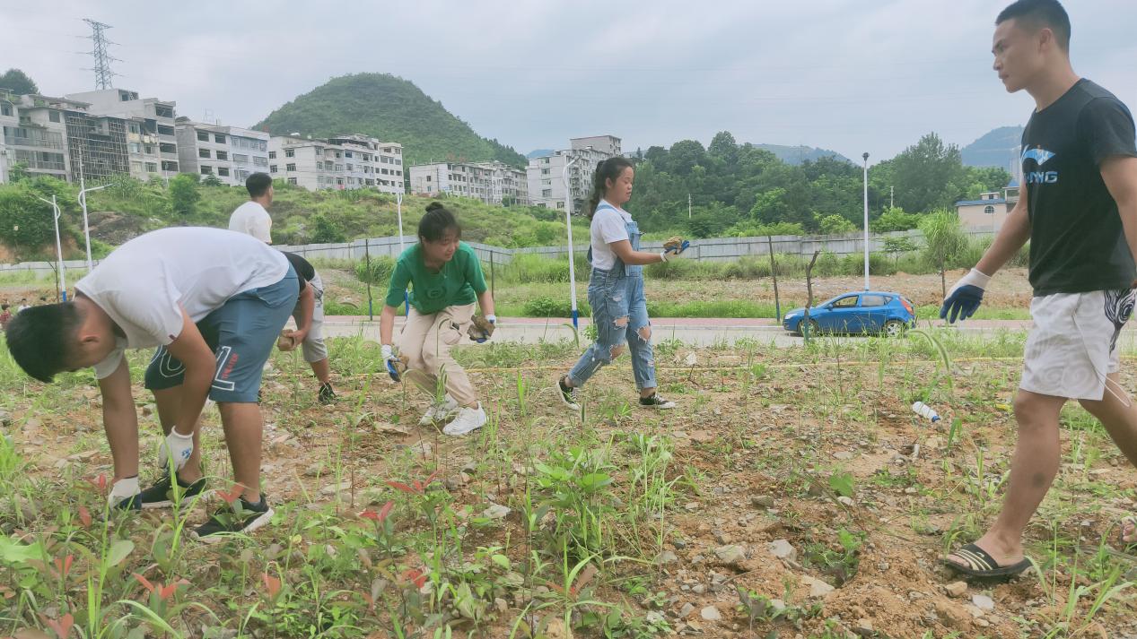 建筑工程学院毕业班学生为学校作贡献(图2) 建筑工程学院毕业班学生为学校作贡献(图2)