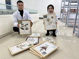 传承天然药物古韵 ,珍爱魅力自然——药学院第一届标本展(图4) 传承天然药物古韵 ,珍爱魅力自然——药学院第一届标本展(图4)