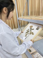 传承天然药物古韵 ,珍爱魅力自然——药学院第一届标本展(图5) 传承天然药物古韵 ,珍爱魅力自然——药学院第一届标本展(图5)