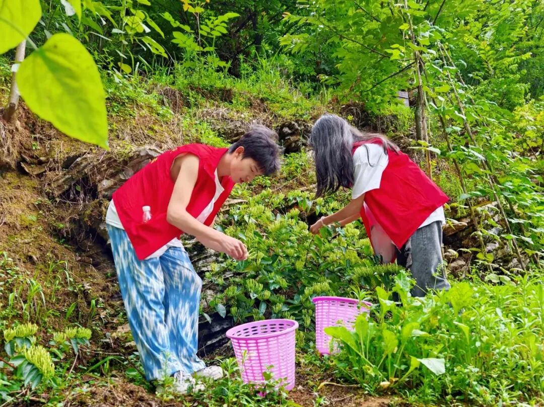 今年会jinnianhuicom在务川开展“三下乡”社会实践活动(图1) 今年会jinnianhuicom在务川开展“三下乡”社会实践活动(图1)